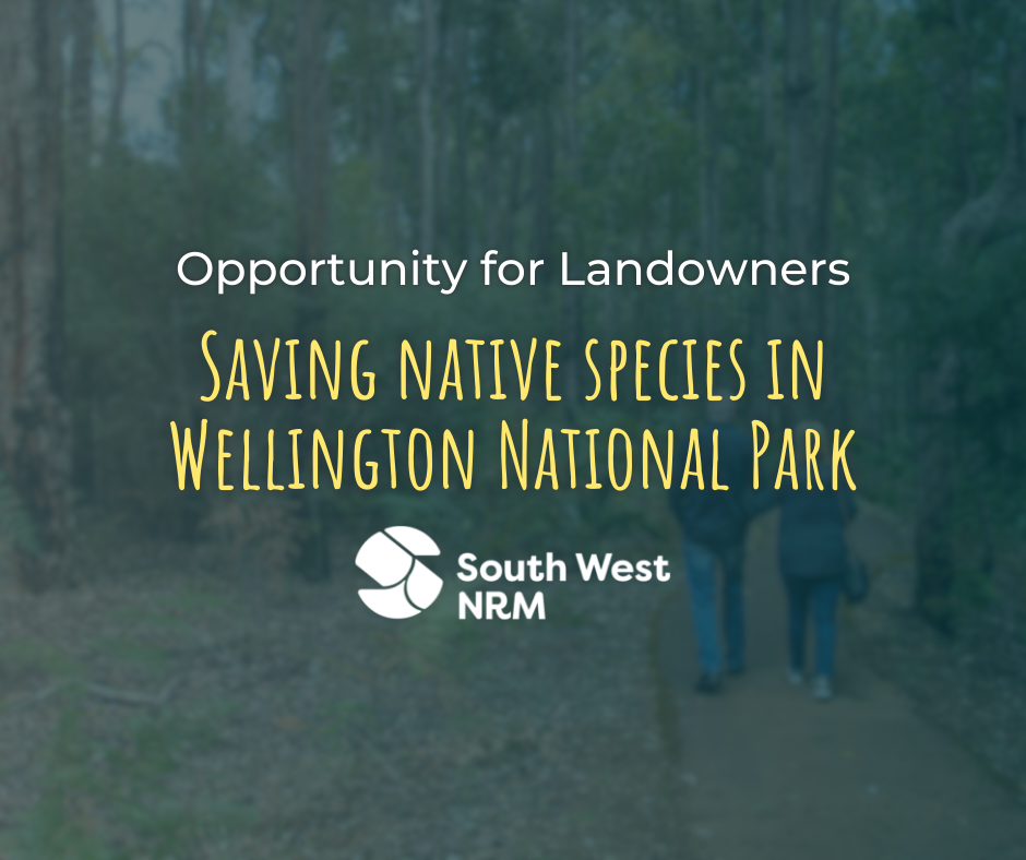 Opportunity for Landowners: Saving native species in Wellington National